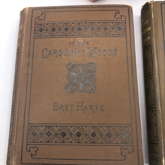 1889-1890 Bret Harte In the Carquinez Woods”and “A Millionaire Rough and Ready - Picture 2 of 9